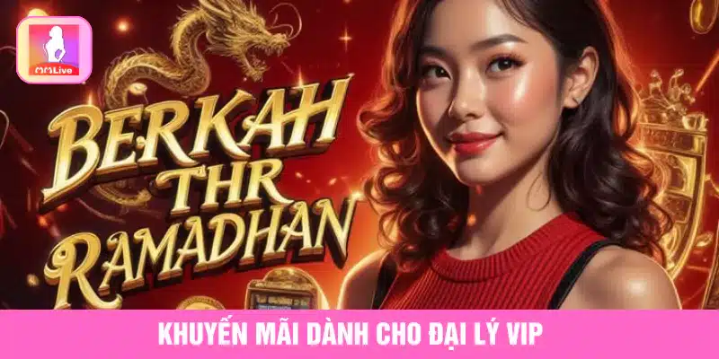 Các loại khuyến mãi đại lý tại MMlive