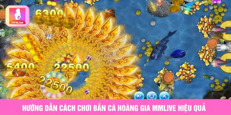 Bắn Cá Hoàng Gia MMlive Game Đỉnh Cao Không Thể Bỏ Lỡ Hướng dẫn cách chơi bắn cá hoàng gia MMlive hiệu quả
