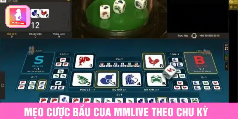 Cách Chơi Bầu Cua MMlive Từ Cao Thủ Không Thể Bỏ Qua Mẹo cược bầu cua MMlive theo chu kỳ